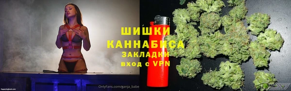 2c-b Горнозаводск